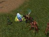 Capturas